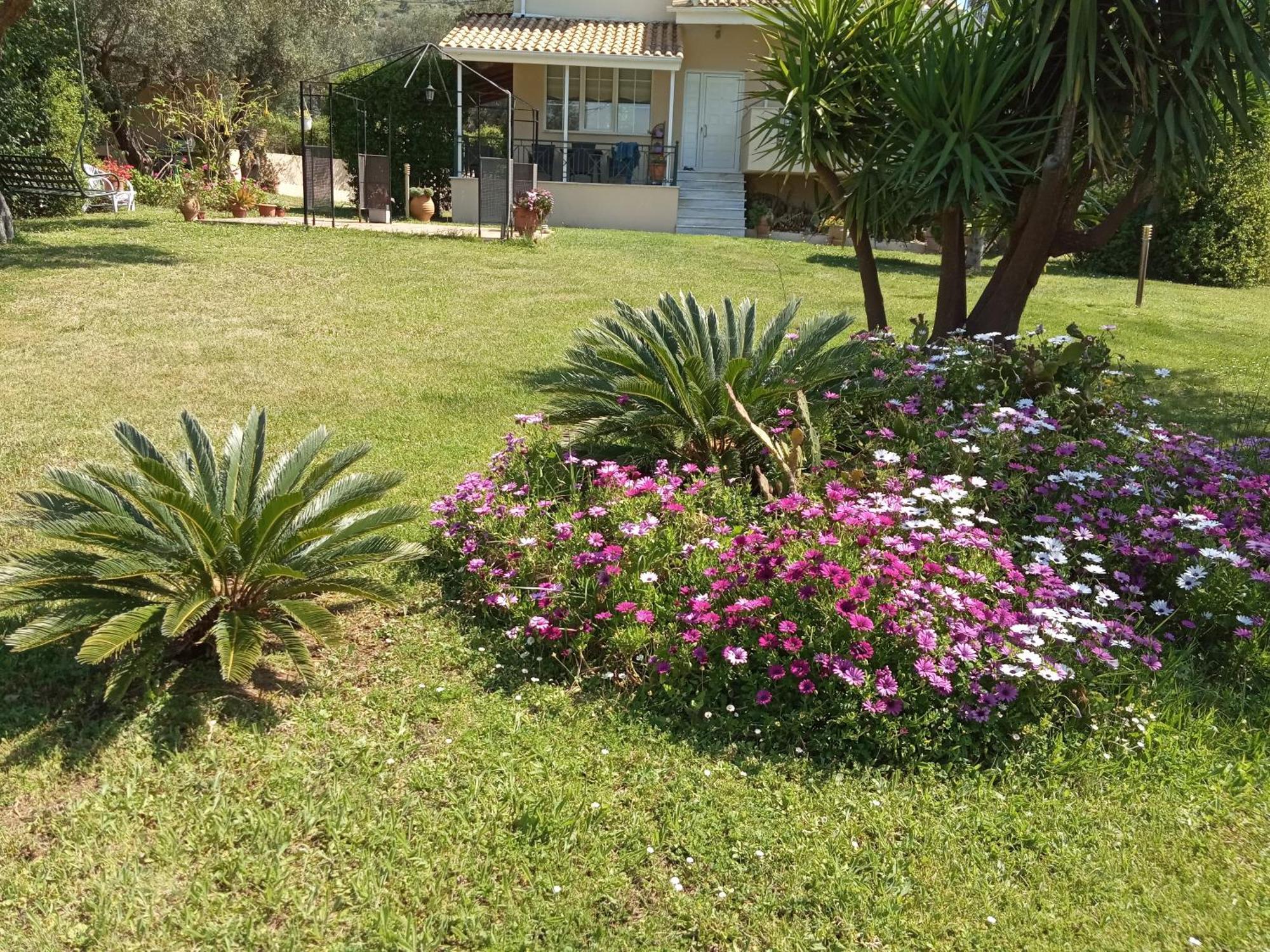 Sunny Garden Villa بلاتاريا الغرفة الصورة